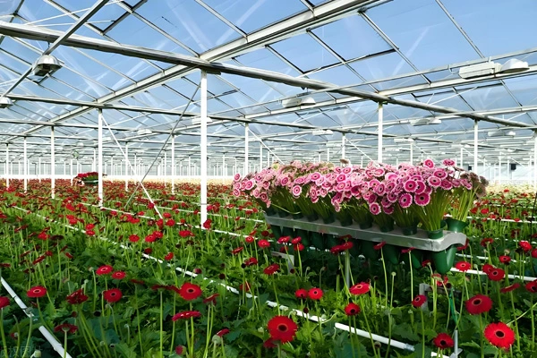 PEとPVCタープ生地の違いは何ですか?